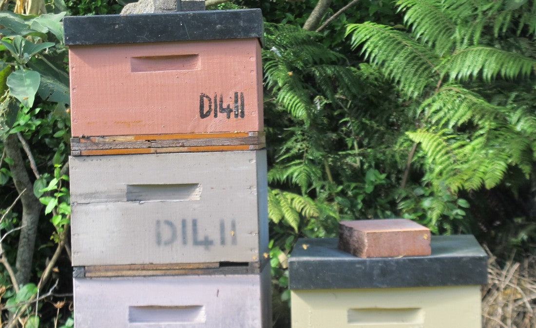 Bee Hive Lids – Standard