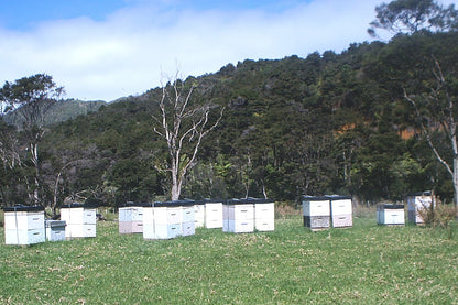 Upstand Base Beehive Bunding Trays