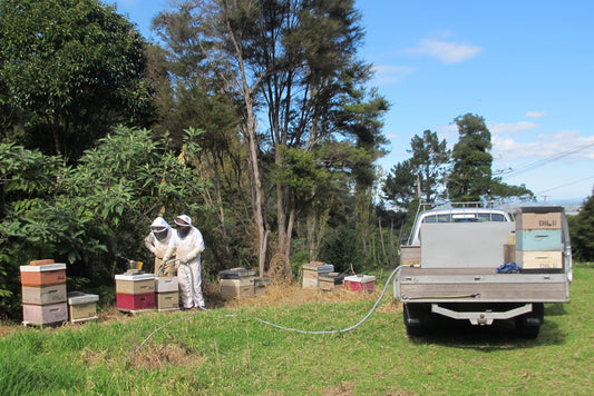 Bee Syrup Tanks